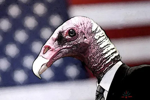 vulture-capital.jpg