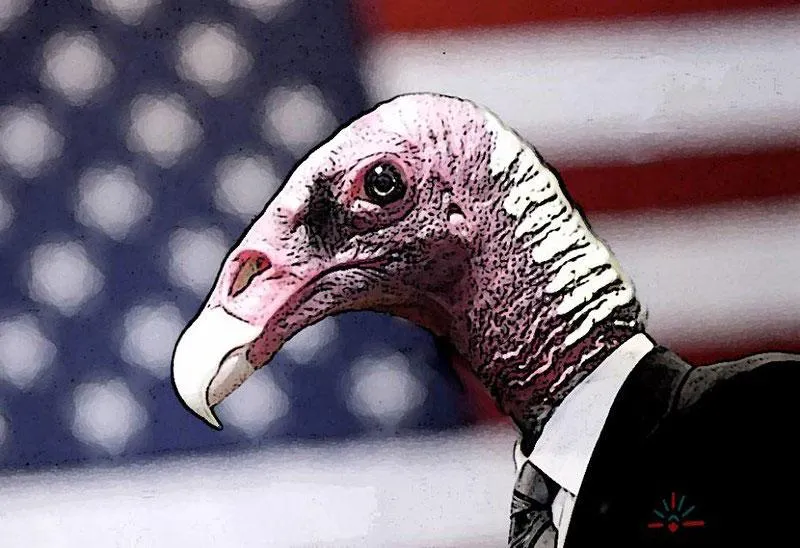 vulture-capital.jpg